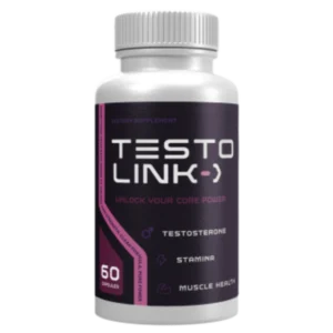 Testo Link